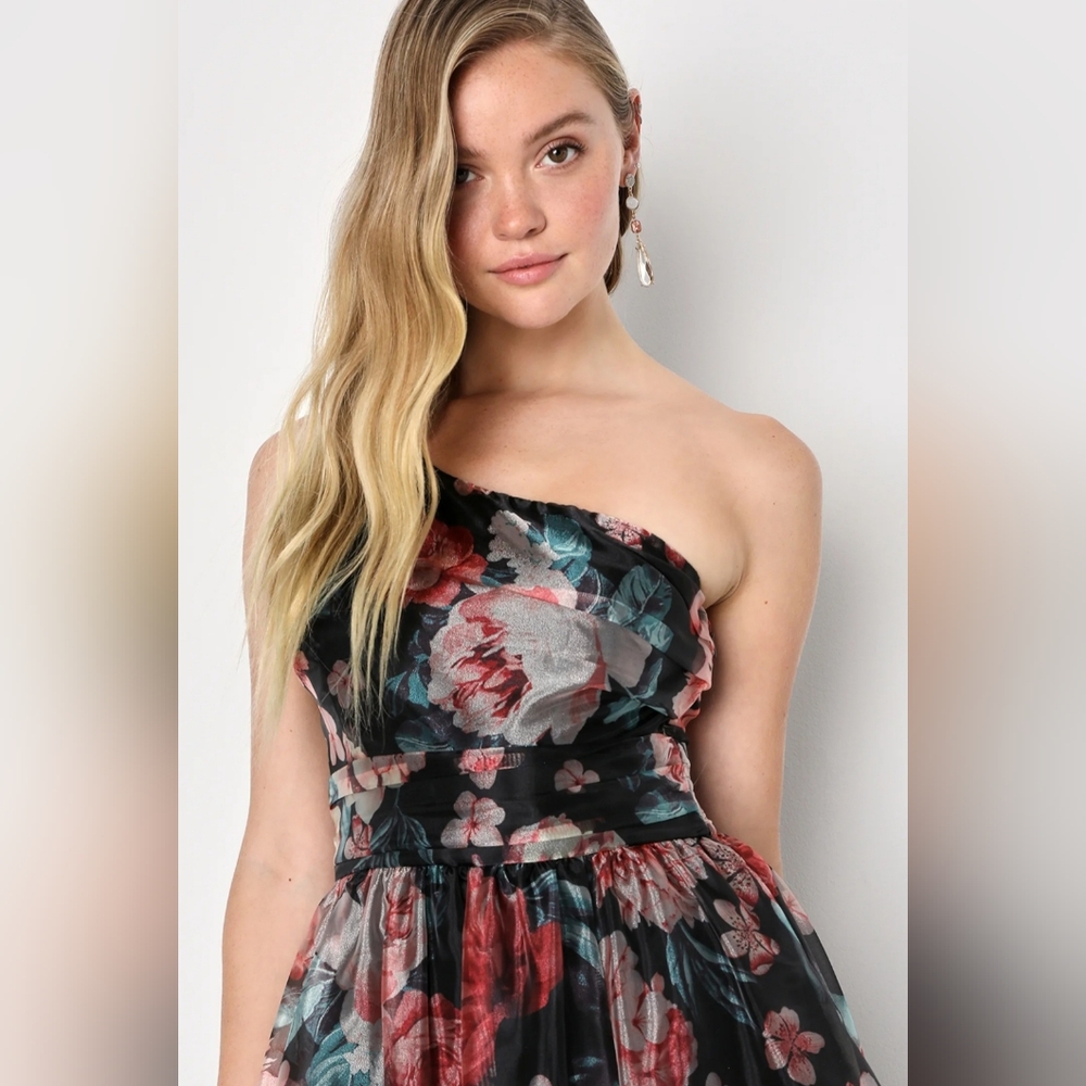 Lulus | Bringing the Charm Black Floral Organza Gown | Size XL - Picture 2 of 6